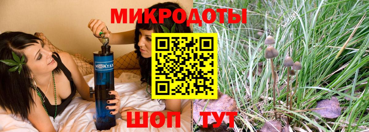 Галлюциногенные грибы Psilocybe  Вход с VPN  Котлас 